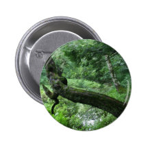 Kinda weird old tree in a bog pin