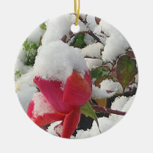 Kindness like Snow Ornament