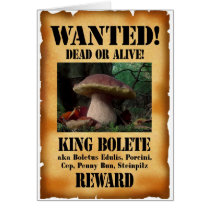 King Bolete - Wanted Dead or Alive Cards