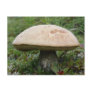 King Boletus Mushroom on Unalaska Island Post Card