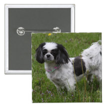King Charles Spaniel Button