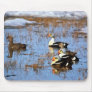 King Eiders Mousepad