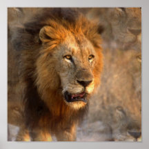 King of Jungle Print