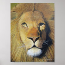 King of the Jungle Posters
