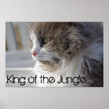 King of the Jungle Print