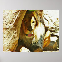 King of the jungle print