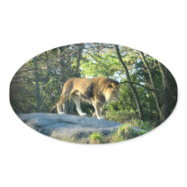 King of the Jungle Stickers