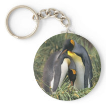 King penguins Lovers keychains