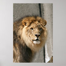 King Posters