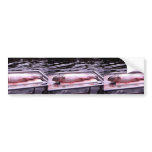 King Salmon Bumper Stickers