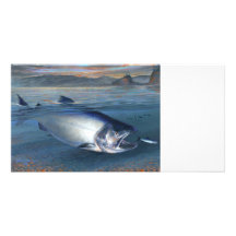 KIng Salmon Photo card