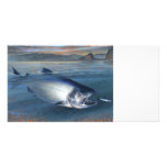 KIng Salmon Photo card photo cards