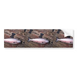 King Salmon Profile Bumper Stickers