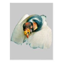 King Vulture Gift postcards