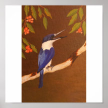 Kingfisher Poster