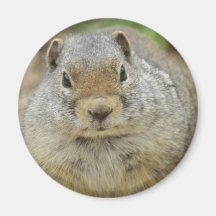 Kingpin Fridge Magnet