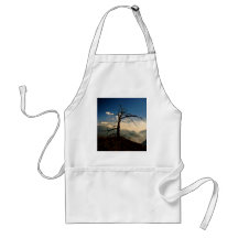 KINGS CANYON VISTA WITH AN OLD DRY TREE APRONS