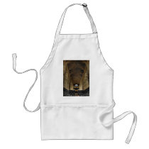 King's College Chapel ~ Cambridge, England Apron