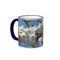 Kirschblüte Kaffeetassen