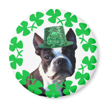 KIss me I' m Irish Boston Terrier magnet