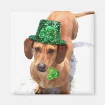 Kiss me I'm Irish Dachshund magnet