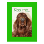 Kiss me....I'm Irish Post Card
