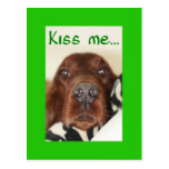 Kiss me, I'm Irish Post Card