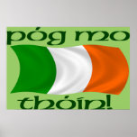 Kiss My Arse! (Irish Gaelic) Poster Print