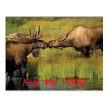 kiss my moose, Kiss My Moose Post Cards