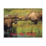 kiss my moose, Kiss My Moose Post Cards