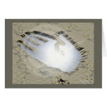 Kiss of Fingerprints Cards