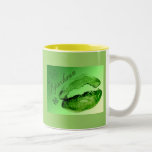 Kissed By A Leprechaun mugs