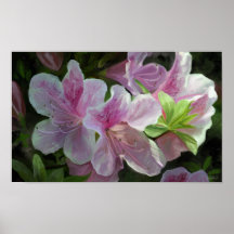 Kissed by Sunlight Print