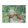 kissimg cardinals post cards