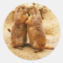 Kissing Black Tailed Prairie Dogs Sticker