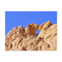 Kissing Camels