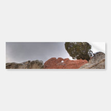 Kissing Camels Under Tree Bumper Sticker