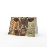 Kissing Cow Birthday Card