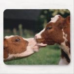 Kissing Cows mousepads