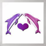 Kissing Dolphins Poster Print