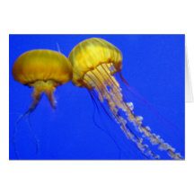 Kissing Jellyfish Greeting Card