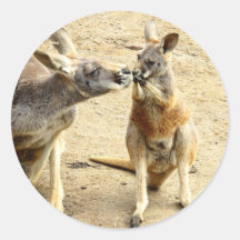 Kissing Kangaroos Round Sticker