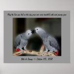 Kissing Parrots Cute Wedding Gift Poster posters