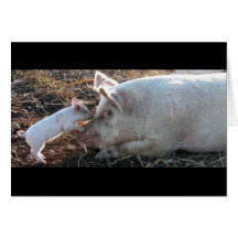 Kissing Piglet Greeting Card