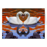 Kissing Swans in Love, Heart Shape Necks Card