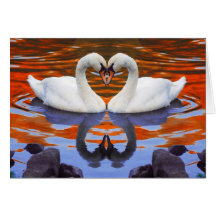 Kissing Swans in Love, Heart Shape Necks Card