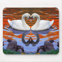 Kissing Swans in Love, Heart Shape Necks
