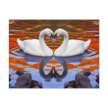 Kissing Swans in Love, Heart Shape Necks