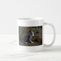 Kit de Fox arctique Mug