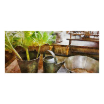 Kitchen - Eat your greens Rack Card